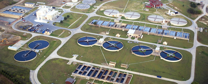 aerial photo of plant